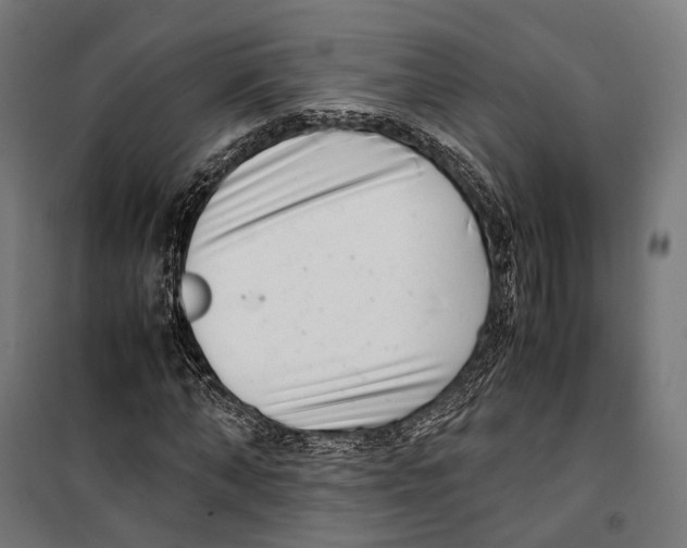 X0000099940870200806201118
