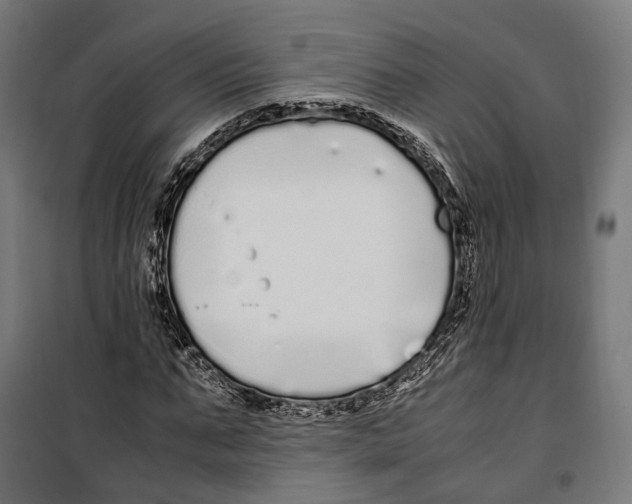 X0000099940871200806201118