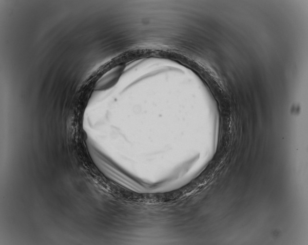 X0000099940872200806201118