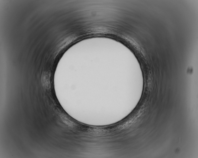 X0000099940873200806201118