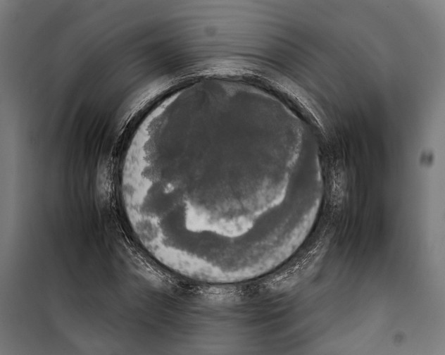 X0000099940874200806201118