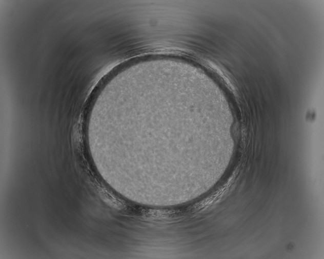 X0000099940875200806201118