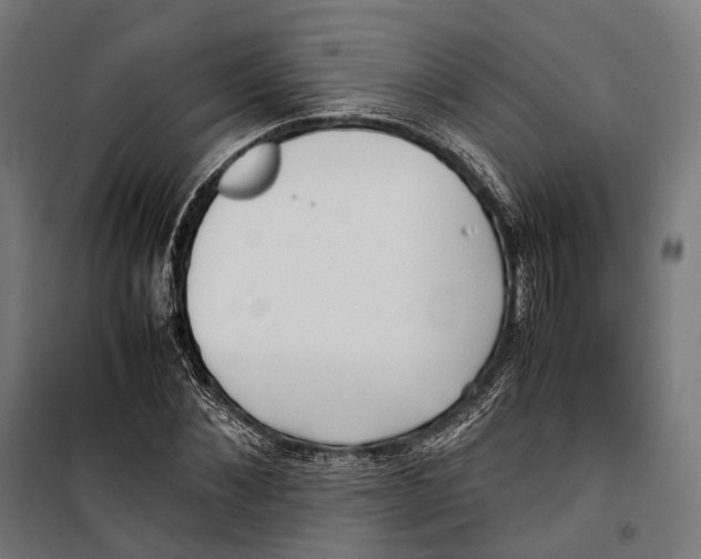 X0000099940876200806201118