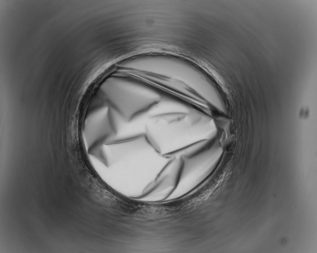 X0000099940877200806201118