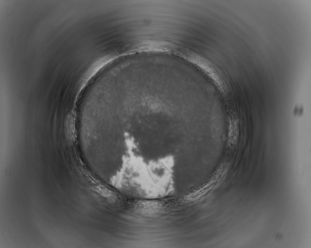 X0000099940878200806201118
