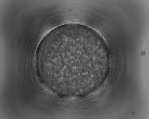 X0000099940879200806201118