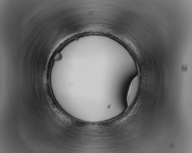 X0000099940880200806201118