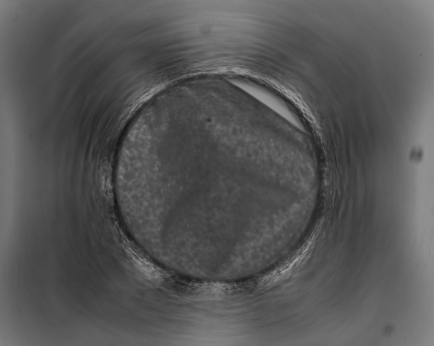 X0000099940881200806201118