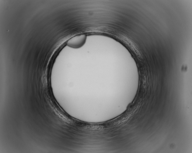 X0000099940884200806201118