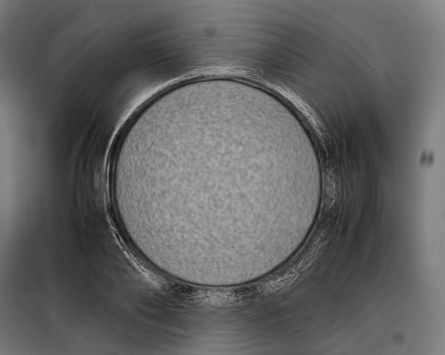 X0000099940886200806201118