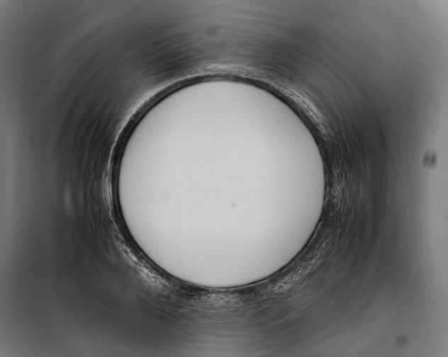 X0000099940888200806201118