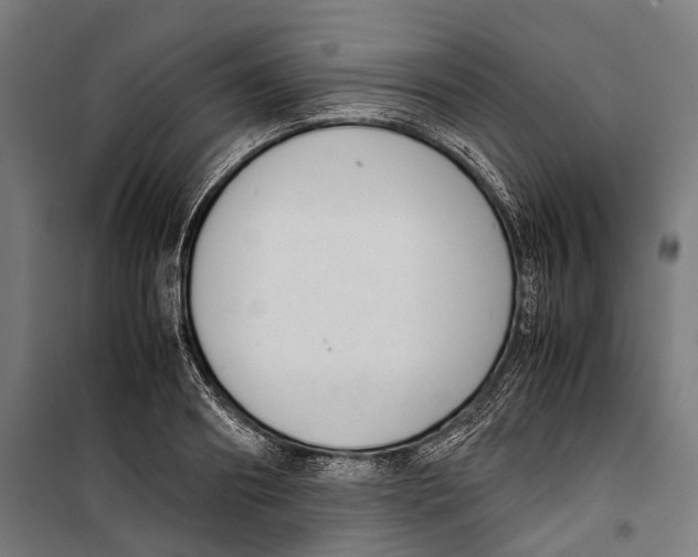 X0000099940890200806201118