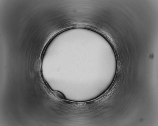X0000099940891200806201118