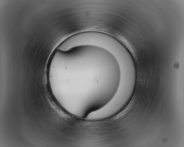 X0000099940892200806201117