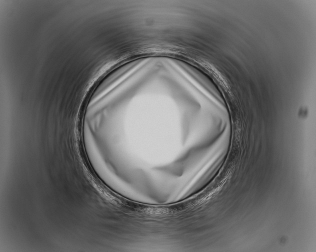 X0000099940893200806201117