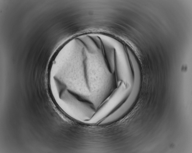 X0000099940894200806201117