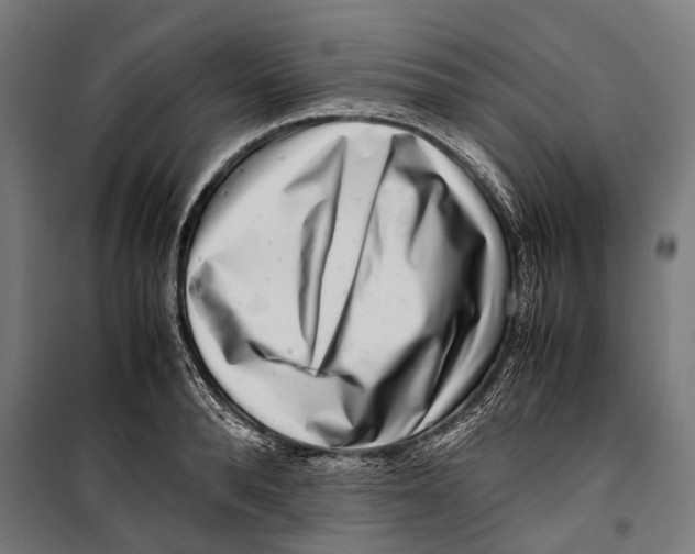 X0000099940896200806201117