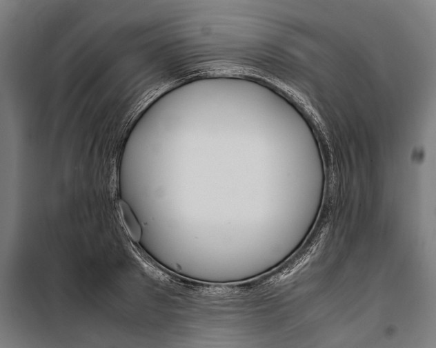 X0000099940897200806201117