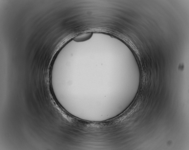 X0000099940898200806201117