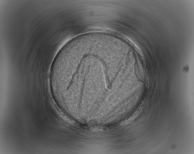 X0000099940899200806201117