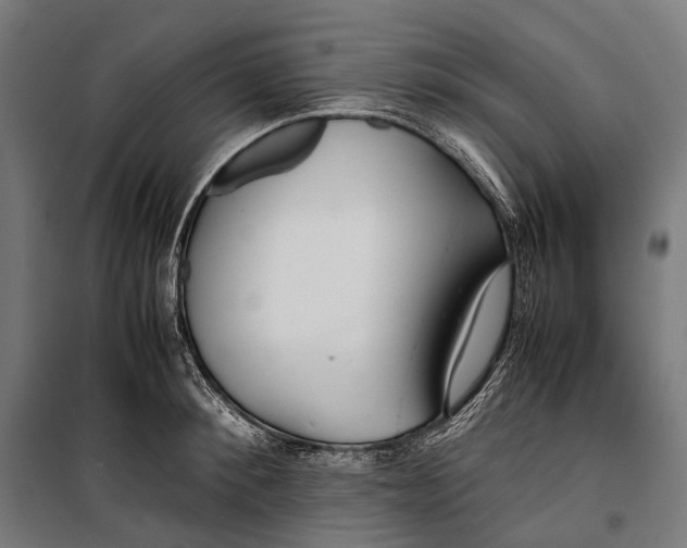 X0000099940900200806201117