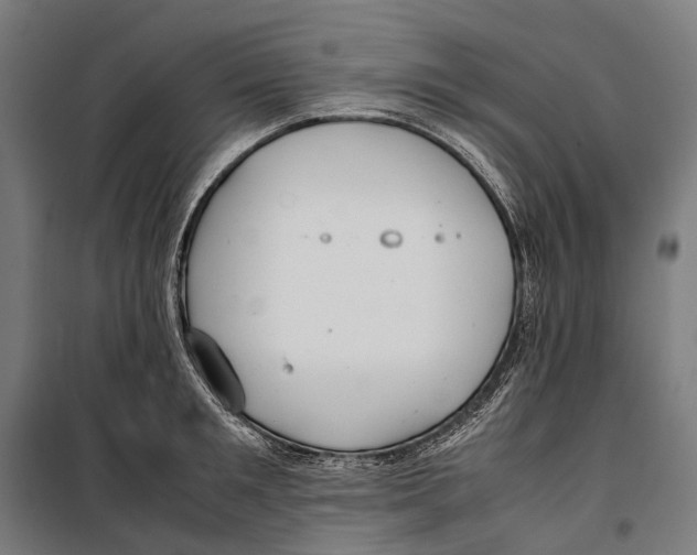 X0000099940901200806201117
