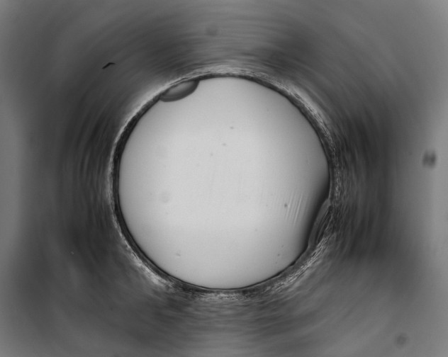X0000099940902200806201117