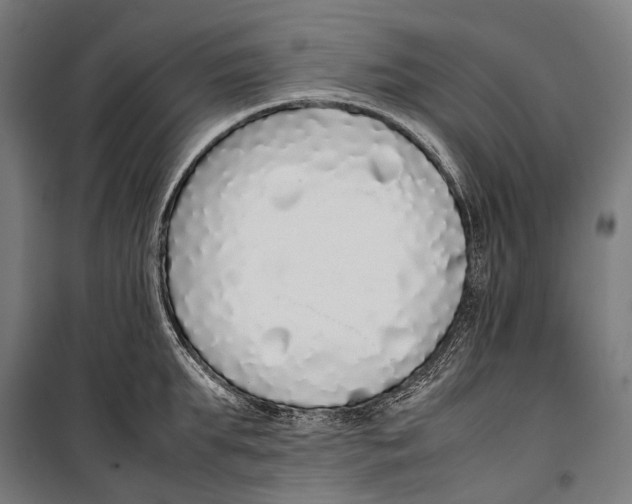 X0000099940903200806201117