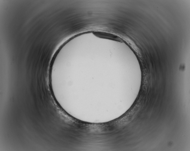 X0000099940904200806201117
