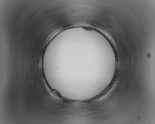 X0000099940905200806201117