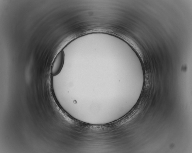 X0000099940906200806201117