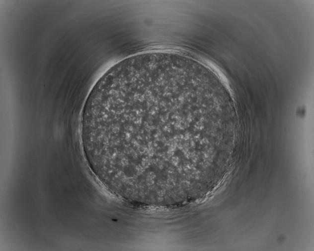X0000099940907200806201117