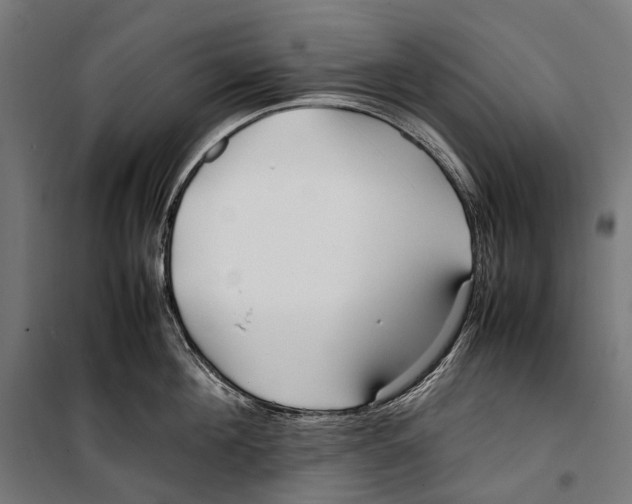 X0000099940908200806201117