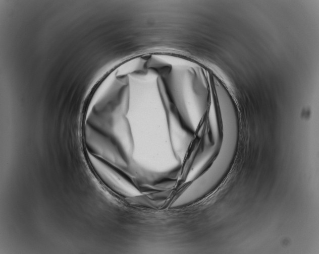 X0000099940910200806201117