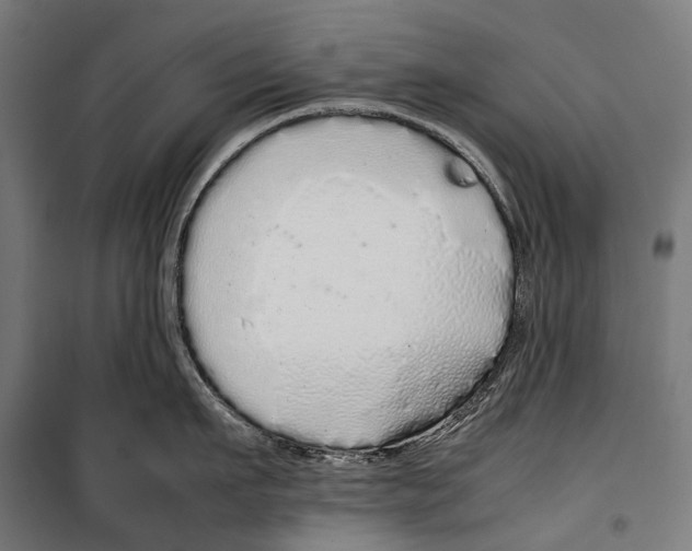X0000099940911200806201117