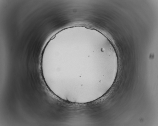 X0000099940912200806201117