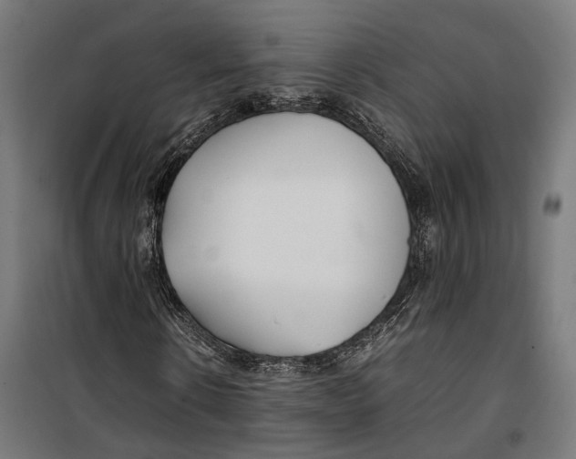 X0000099940914200806201116