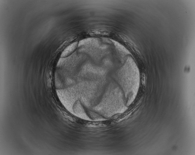 X0000099940915200806201116