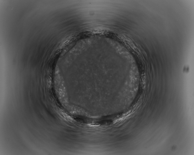 X0000099940916200806201116