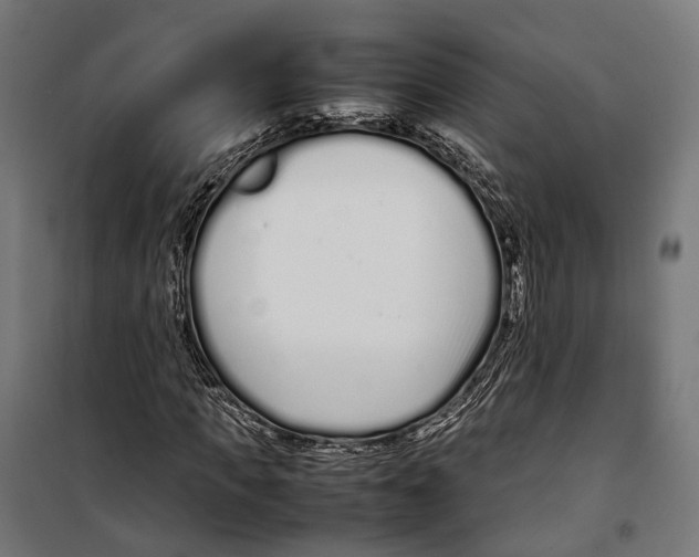 X0000099940917200806201116