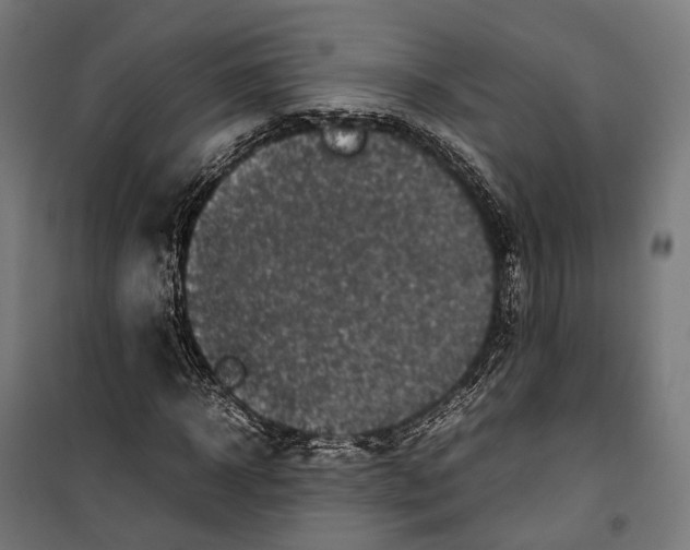 X0000099940918200806201116