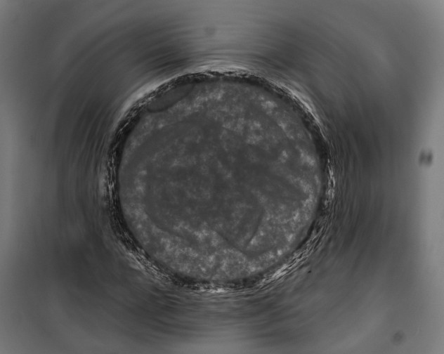 X0000099940920200806201116