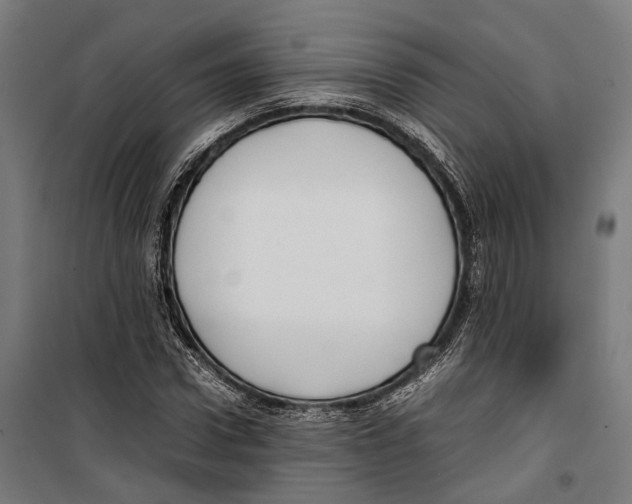 X0000099940922200806201116