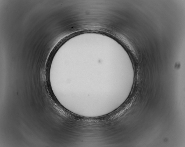 X0000099940924200806201116