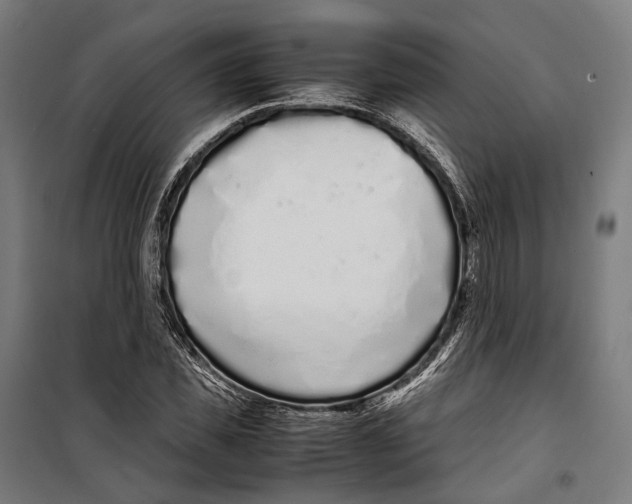 X0000099940925200806201116