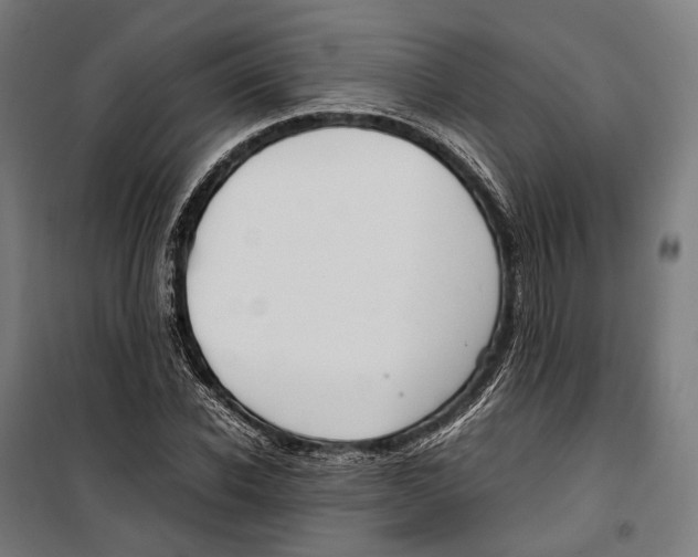 X0000099940926200806201116