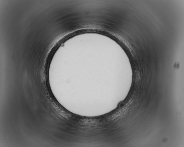 X0000099940927200806201116