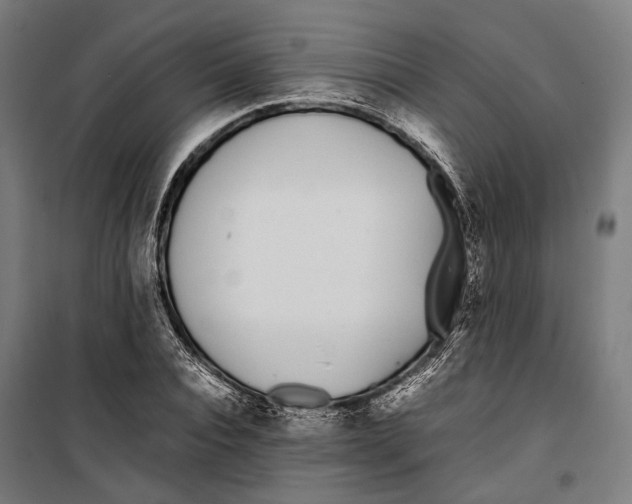 X0000099940928200806201116