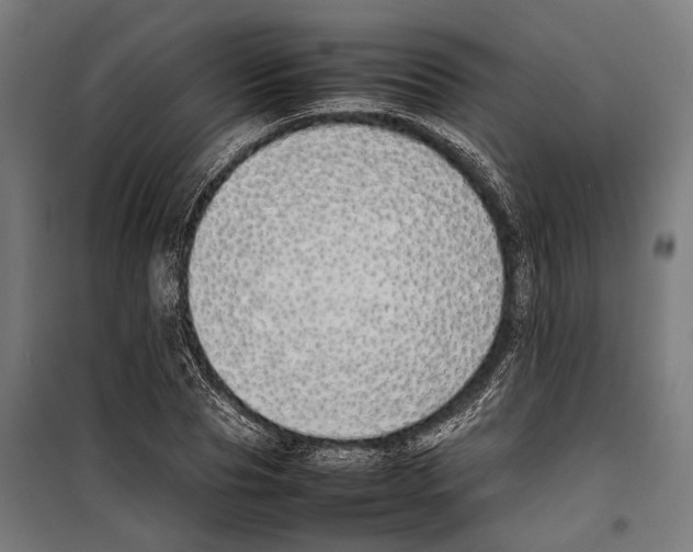 X0000099940929200806201116