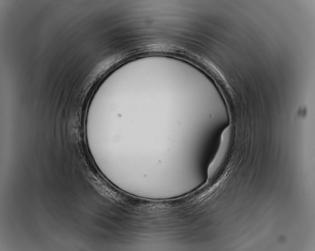 X0000099940930200806201117